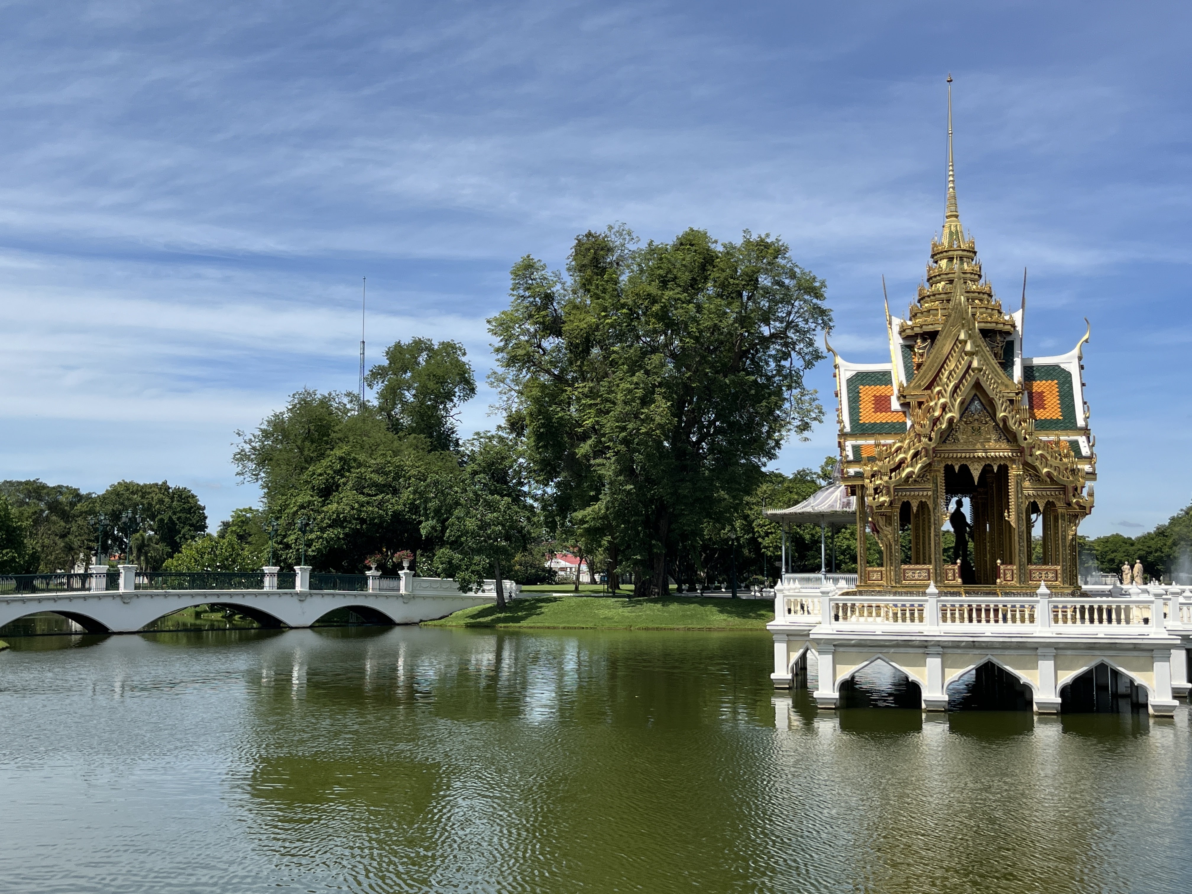 ดอกบัวในสระสะท้อนภาพ